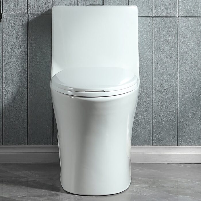 ABRUZZO Dual-Flush Elongated One-Piece Toilet - Image 2