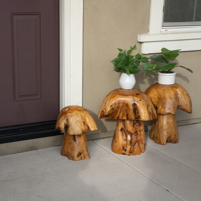 Greenage Cedar Roots Stump Mushroomn Natural Edge Side Table - Image 2