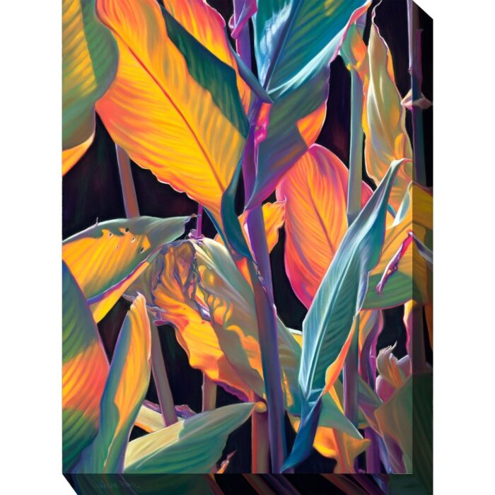 Tropicana Outdoor Art 30x40