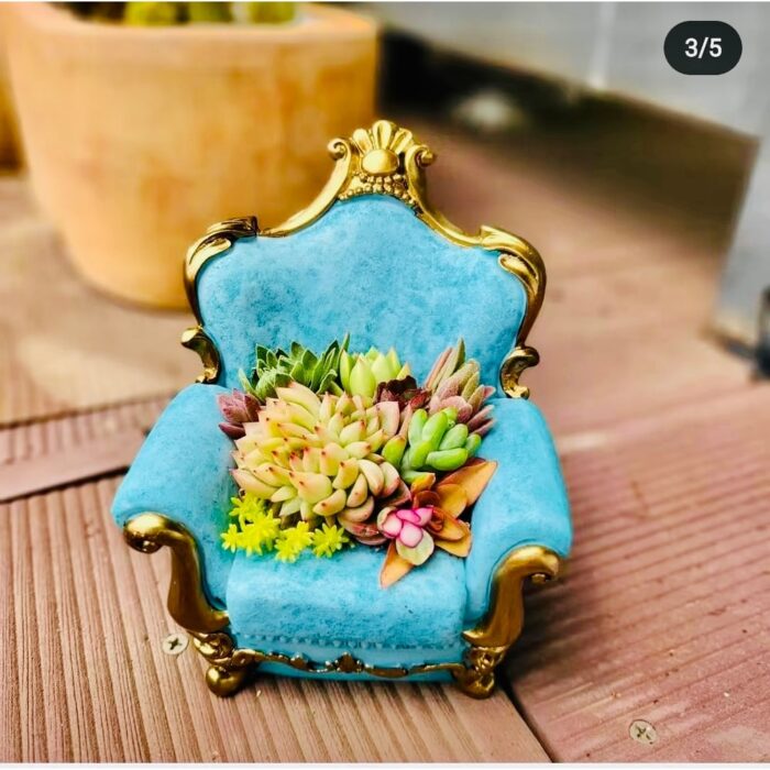 2''–3'' Multicolor Succulent Plants in Blue Classical Sofa Shaped Flowerpot - 5.5''×6''