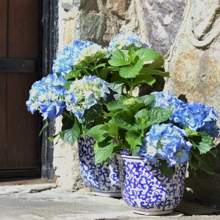 ClayBarn Blue and White Ceramic Florentine Garden Planter (3-Piece Set) - Image 2