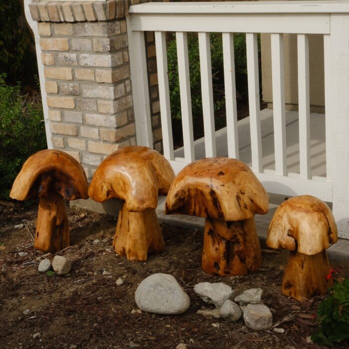Greenage Cedar Roots Stump Mushroomn Natural Edge Side Table